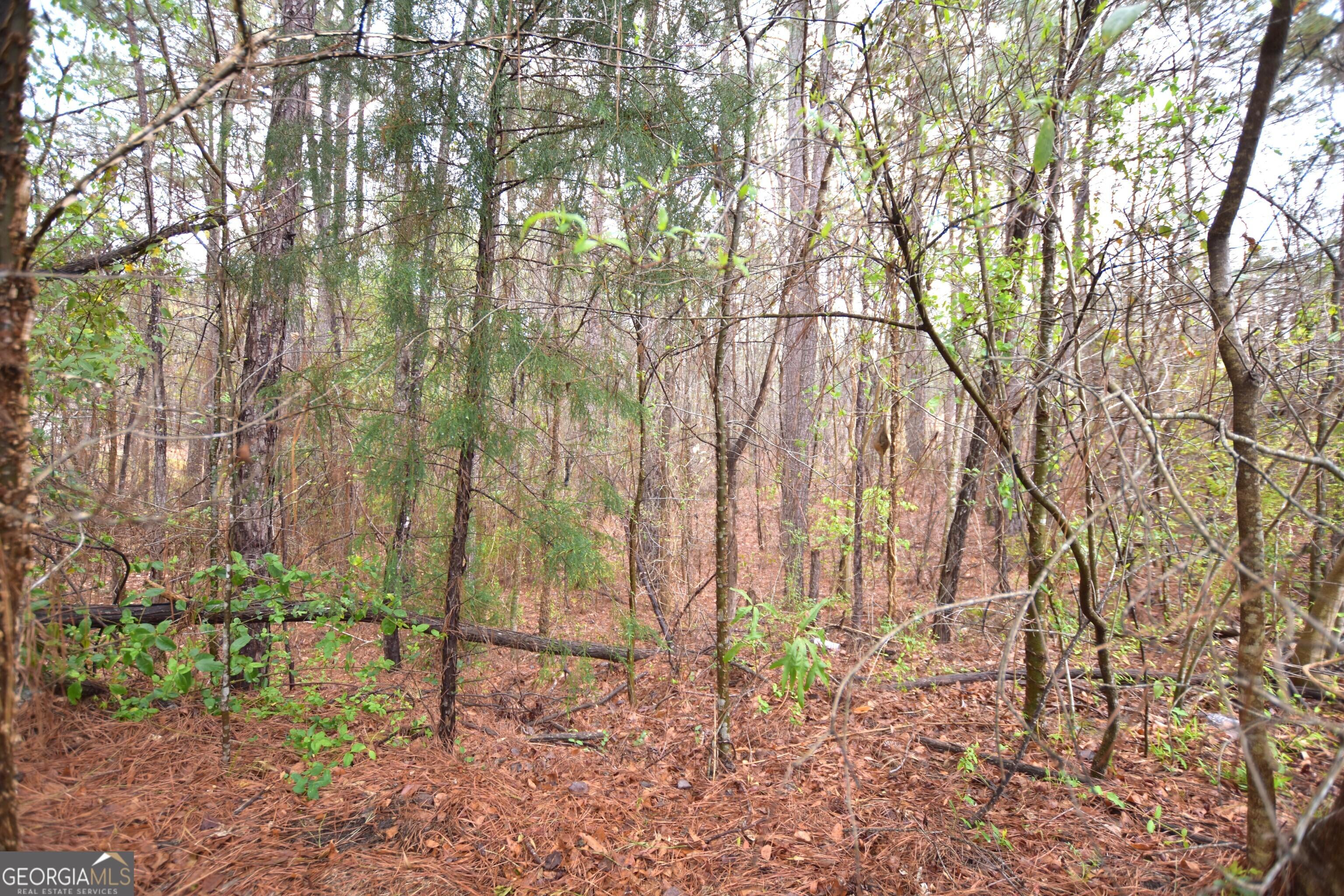 Image 4: Sloped