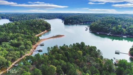 Lot 01 Seraph Pointe Road # 1, Lavonia GA 30553