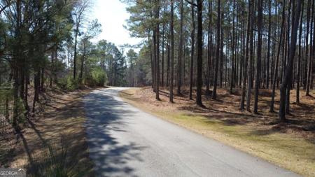 1041 Shadow Creek Way, Greensboro GA 30642