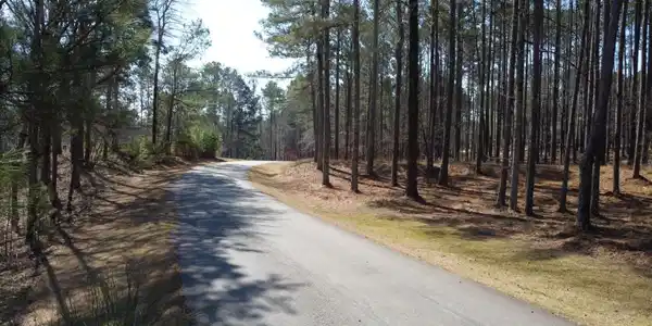 1041 Shadow Creek Way, Greensboro GA 30642