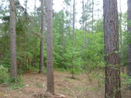 Lot 16 Melody Farms Dr