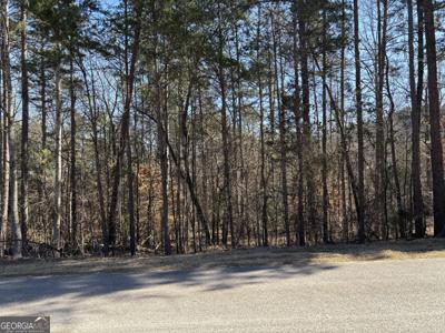 Skyline Way, Lavonia GA 30553