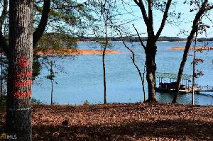 Reed Creek Hwy Lot 10