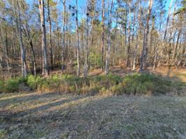0 Grayson South Trail