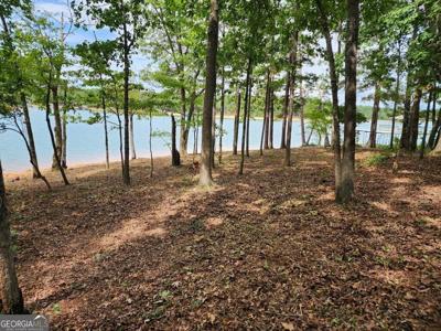 Lot 1 Pointe Sidney Drive, Hartwell GA 30643