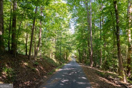 Brittany Cove Circle, Lavonia GA 30553