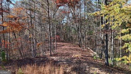 Lot 197 Springwinds Drive, Cleveland GA 30528