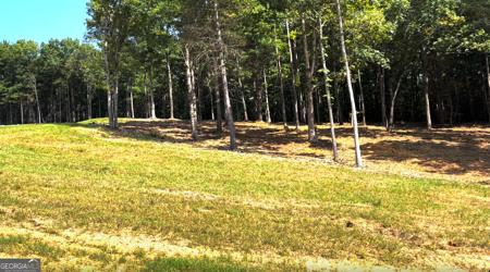 Lot #3 RIDGE Drive, Morganton GA 30560