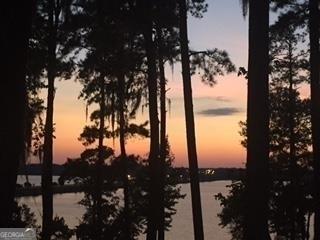 Lot 11, Georgetown GA 39854 23 Point Way