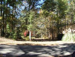 1311 1311 County Rd 450 Lot 3