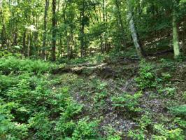 Lot 4,5,6 Falls at Riverside