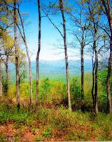 54 Mountainside Drive