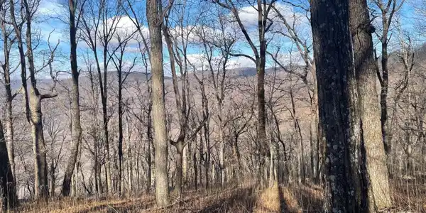 0 Little Hendricks Peak