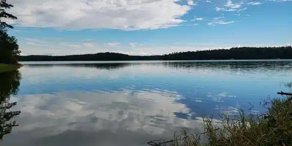 1039 Merganser Coves, Tignall GA 30668