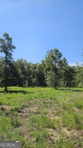 Lot 29 Bayside Drive, Greensboro GA 30642