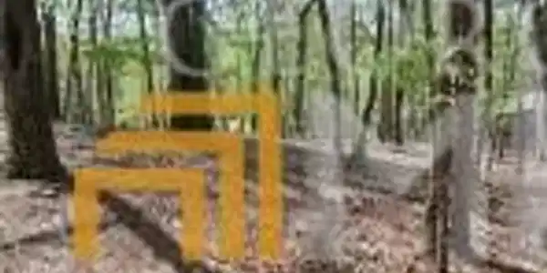 0 Sassafras Mountain Trail