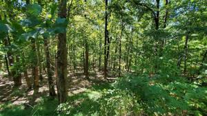 LOT 32L Mountainside Drive