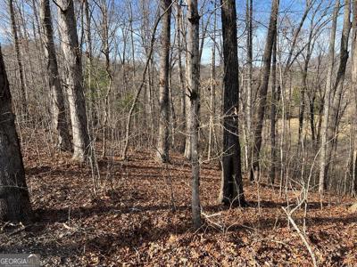Lot 77A Licklog Ridge, Hayesville NC 28904