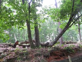 962 962 Lake Arrowhead Dr Lot 102
