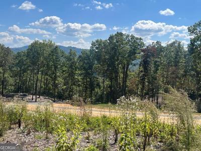 163 Ridges Of Blue Ridge