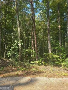 130 Lakeview Way, Martin GA 30557