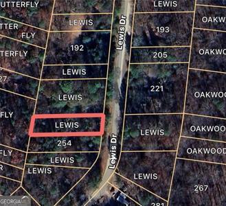 LEWIS, Lavonia GA 30553