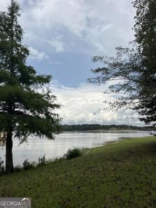 2420 Grand Harbor Court, Lizella GA 31052