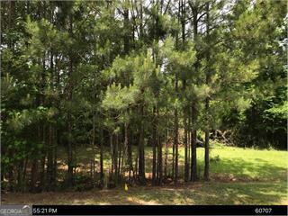417 Lake Water Point, Lizella GA 31052