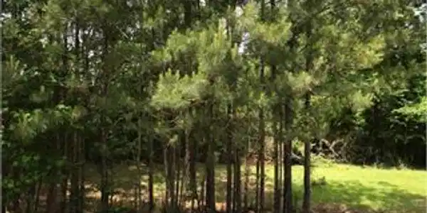 417 Lake Water Point, Lizella GA 31052