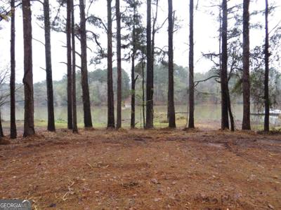 Lot 10, Buckhead GA 30625 Lot 10 Sugar Creek Trail