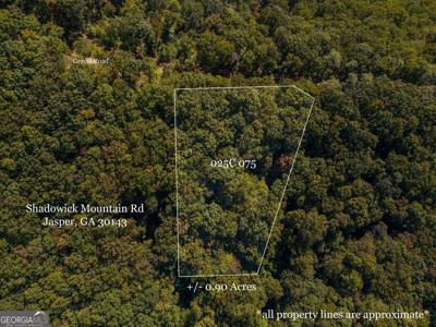 Lot 4323 Shadowick Mountain Road, Jasper GA 30143