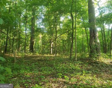 Lot 33 Grayson Trail, Hogansville GA 30230
