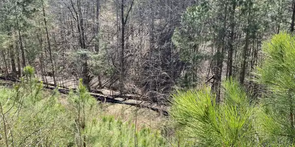 405 Trumpet Circle, Canton GA 30114