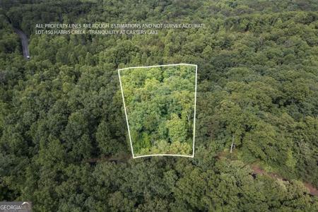 Lot 150 Tranquility @ Carters Lake, Ellijay GA 30540