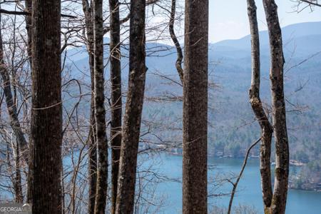 Lot 11 Rainwater Trail, Tiger GA 30576
