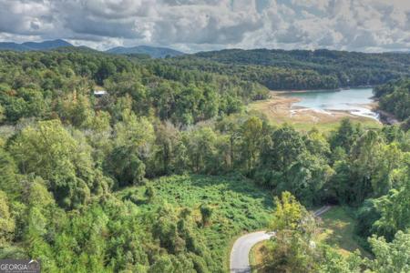 6.4 ACRE Collins Road, Morganton GA 30560