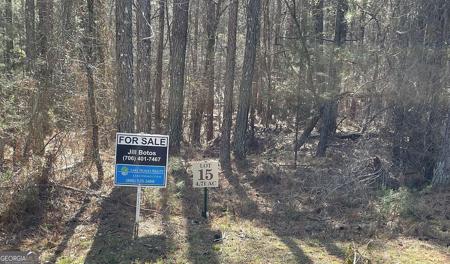 Lot 15 Blackberry Bend, Elberton GA 30635