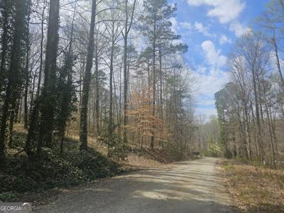 Lot 7 & 8 Gumlog Drive, Lavonia GA 30553