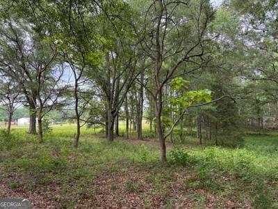 92 Holliday Road, Franklin GA 30217