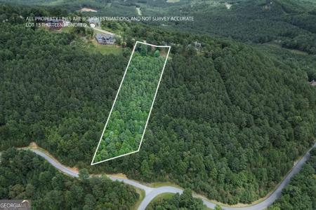 Lot 13 Thirteen Hundred, Blairsville GA 30512