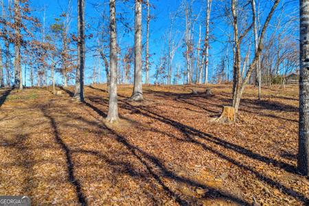 LOT 9 Jenkins Ferry Road