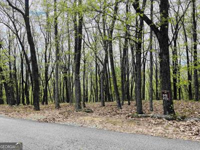 0 Mountainside Drive - Lot 37