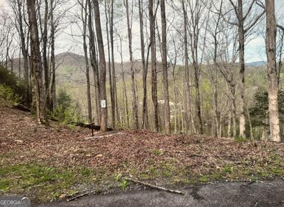 Lot 3 Buckhead Hills, Hiawassee GA 30546