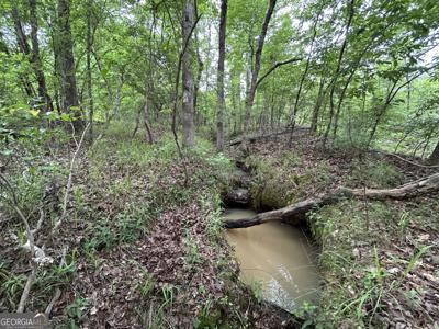 McDade Road, Eatonton GA 31024
