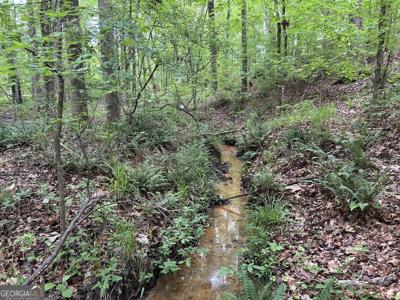 McDade Road, Eatonton GA 31024