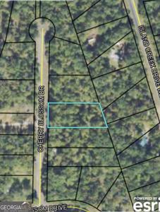 Cherry Blossom Drive, Sparta GA 31087