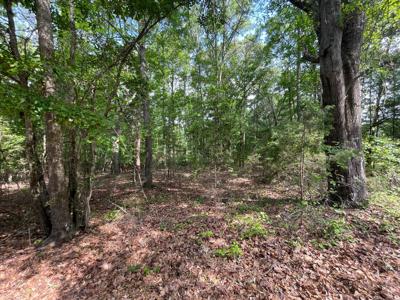 LOT 5 Majestic Shores Road