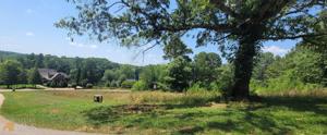 259 Edgewater Trail