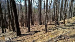 Lot LP04540 Little Pine Mountain Rd