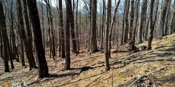 Lot LP04540 Little Pine Mountain Rd